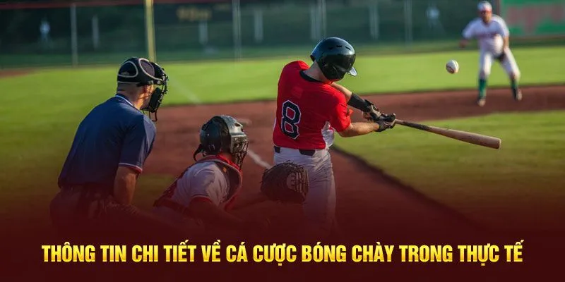 Kèo cược bóng chày phổ biến